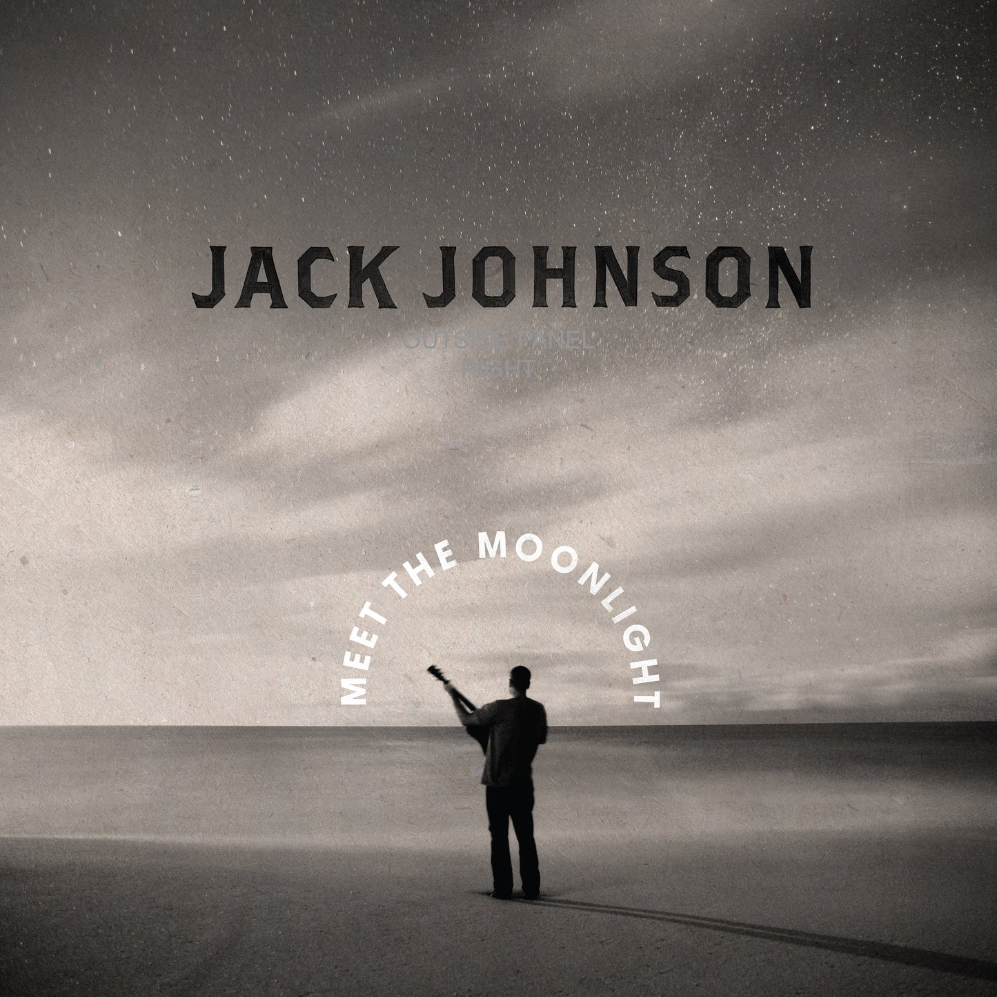 Meet The Moonlight [LP]  Vinyl Record