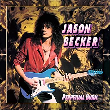 Perpetual Burn (Black Vinyl) [Vinyl] Vinyl Record