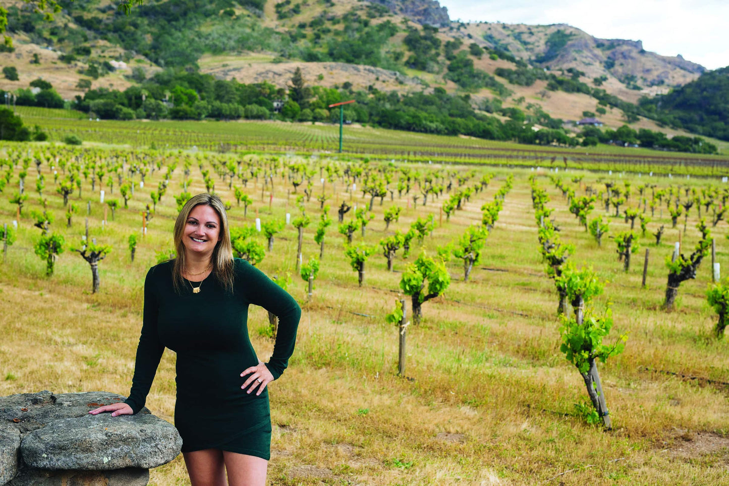 The Essential Napa Valley Cookbook Book