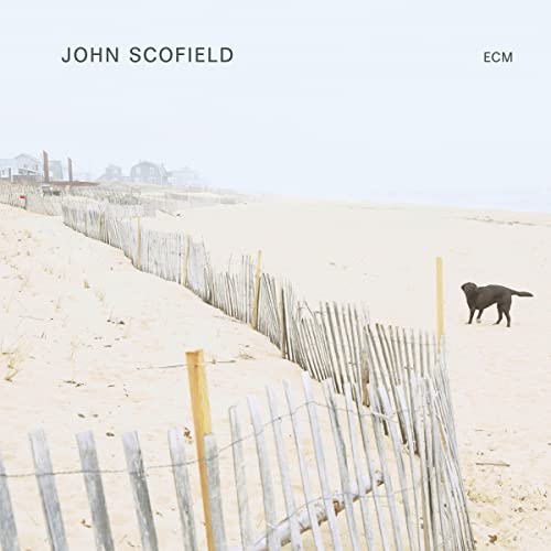 John Scofield [LP] [Vinyl] Vinyl Record