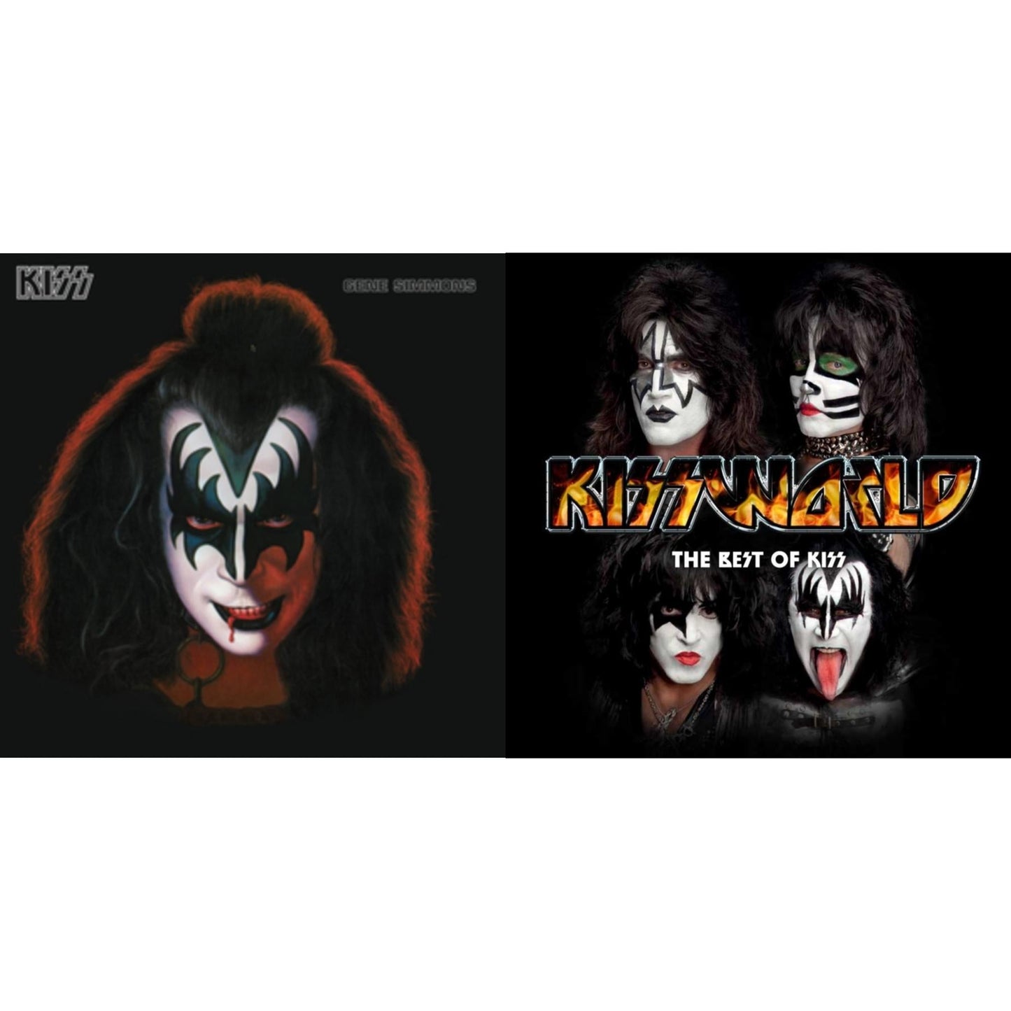 Kiss - Gene Simmons & Kissworld - The Best Of Kiss (2 LP)