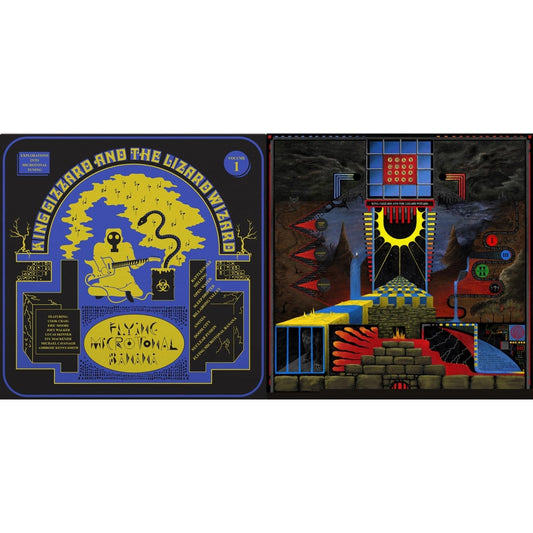 King Gizzard & The Lizard Wizard - Polygondwanaland & Flying Microtonal Banana (Randomly Colored Recycled LP Vinyl)