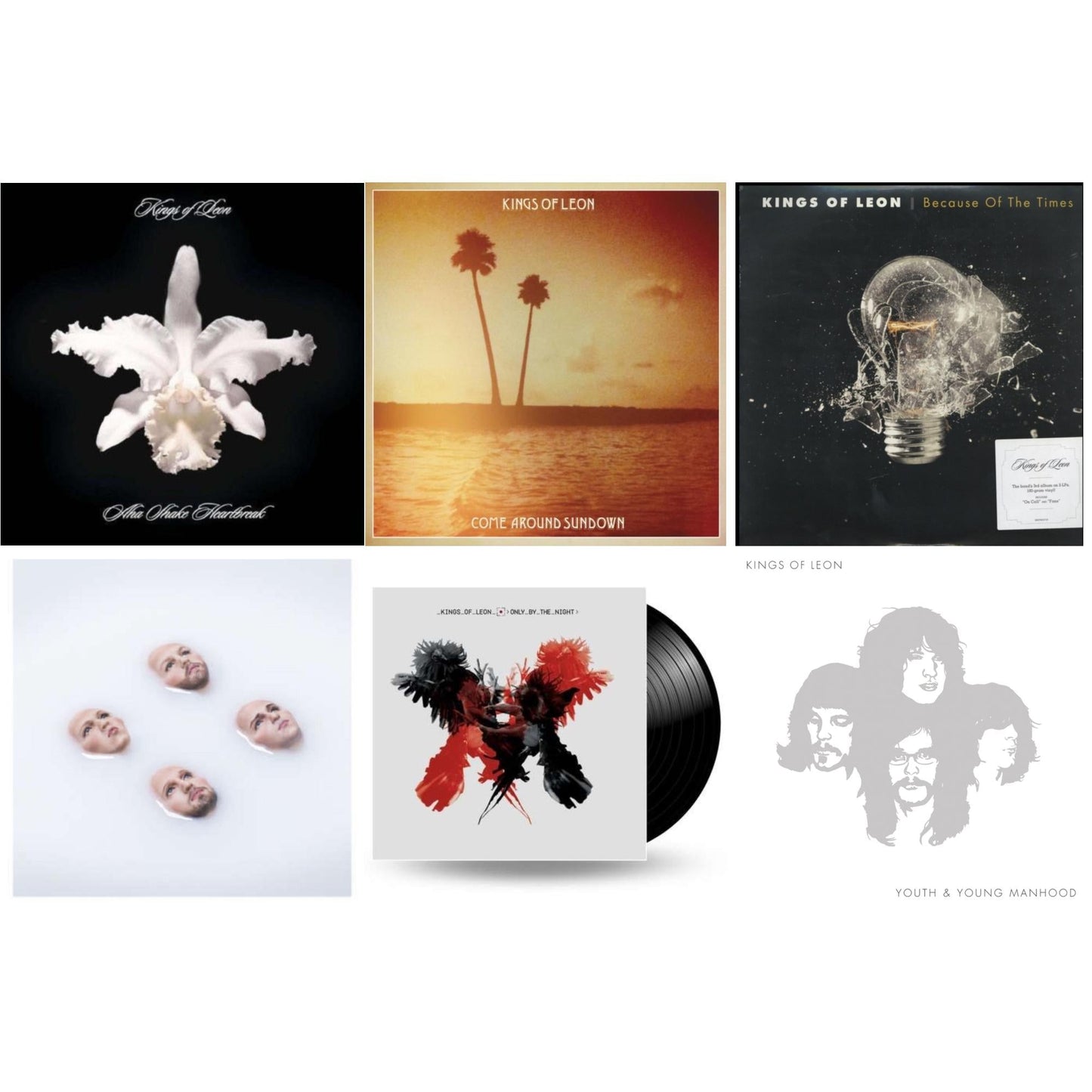 Kings Of Leon - Come Around Sundown (2LP/Gatefold) & Youth & Young Manhood (2LP/180G/Gatefold) & Aha Shake Heartbreak (2LP/180G/Gatefold) & Because Of The Times (2LP/180G/Gatefold) & Only By The Night & Walls (180G/Gatefold/Dl Card)