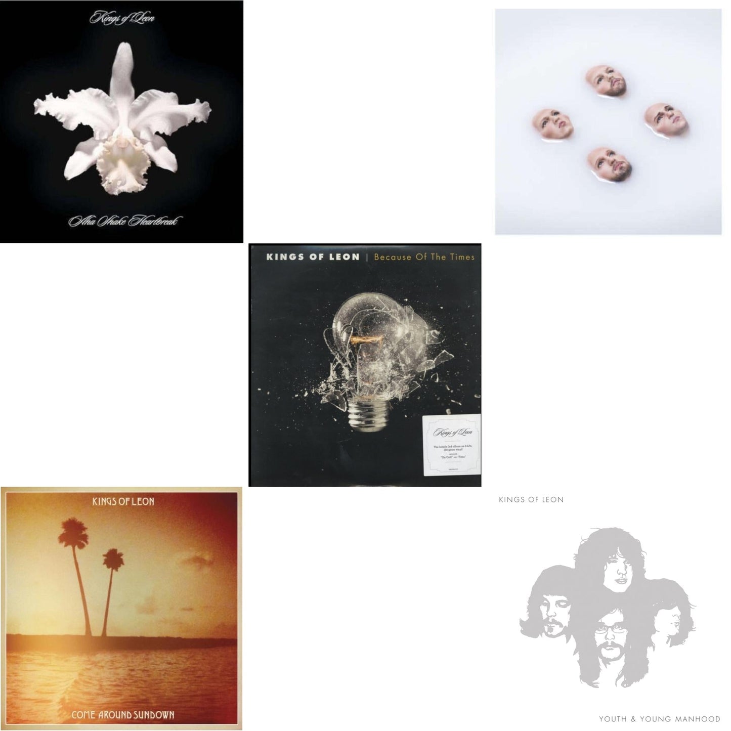 Kings Of Leon - Come Around Sundown (2LP/Gatefold) & Youth & Young Manhood (2LP/180G/Gatefold) & Aha Shake Heartbreak (2LP/180G/Gatefold) & Because Of The Times (2LP/180G/Gatefold) & Walls (180G/Gatefold/Dl Card)
