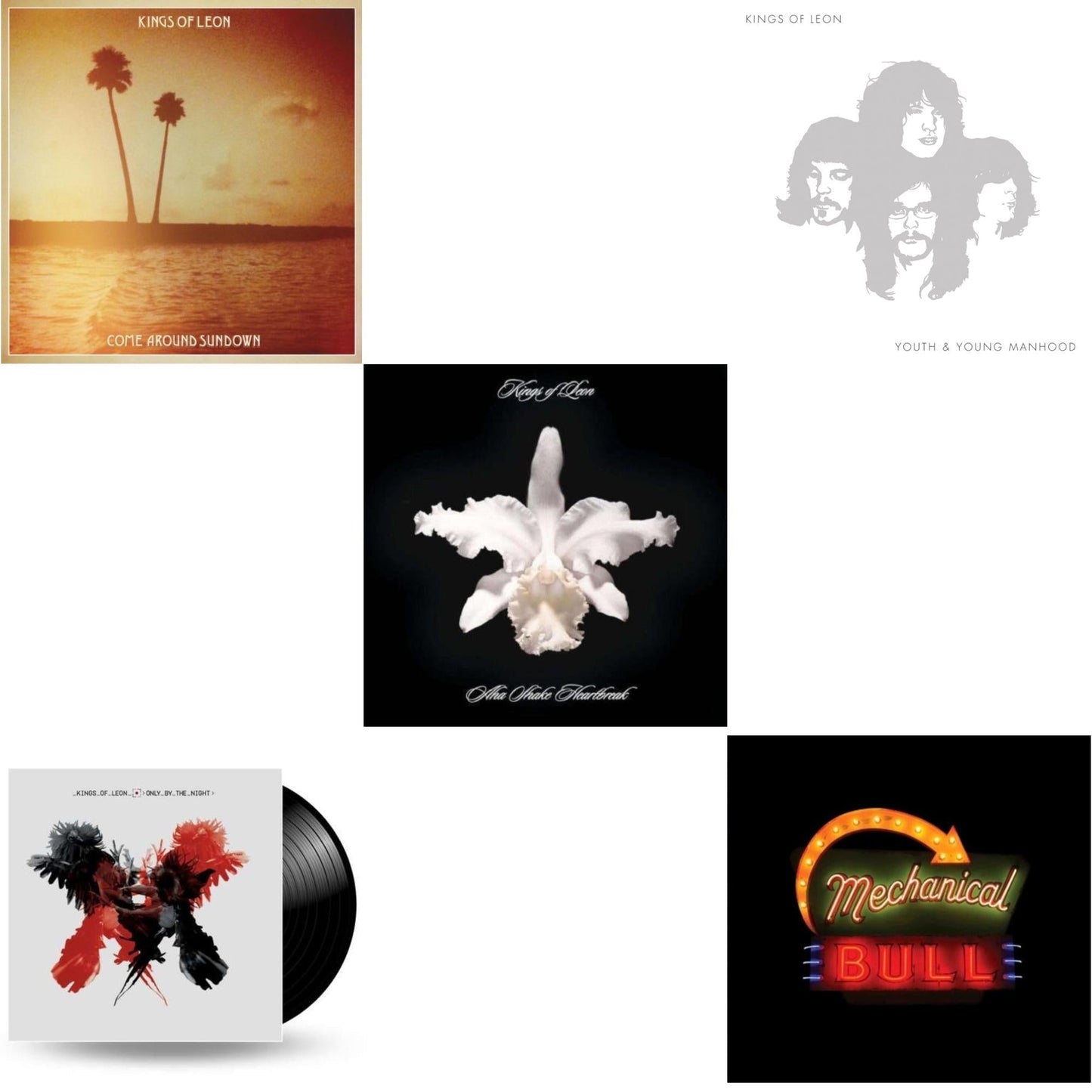 Kings Of Leon - Come Around Sundown (2LP/Gatefold) & Youth & Young Manhood (2LP/180G/Gatefold) & Aha Shake Heartbreak (2LP/180G/Gatefold) & Only By The Night & Mechanical Bull (2LP/180G/Dl Card/Gatefold)