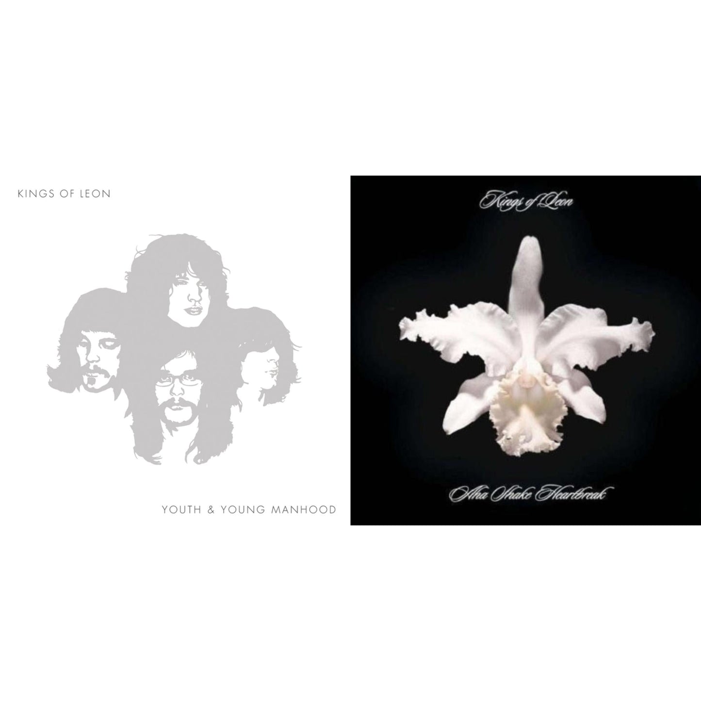 Kings Of Leon - Youth & Young Manhood (2LP/180G/Gatefold) & Aha Shake Heartbreak (2LP/180G/Gatefold)