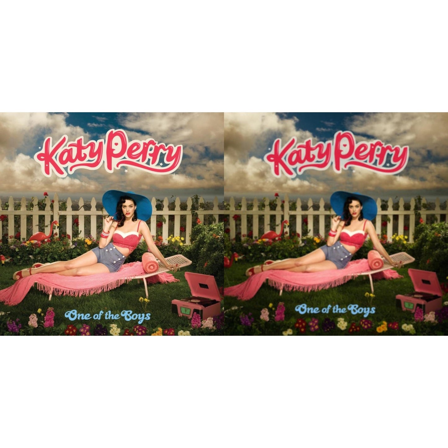 Katy Perry - One Of The Boys & One Of The Boys (Reissue) - LP Vinyl Bundle