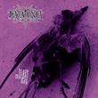 Brave Murder Day Vinyl Record