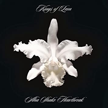 Aha Shake Heartbreak(180-gram) [Import] (2 Lp's) [Vinyl] Vinyl Record