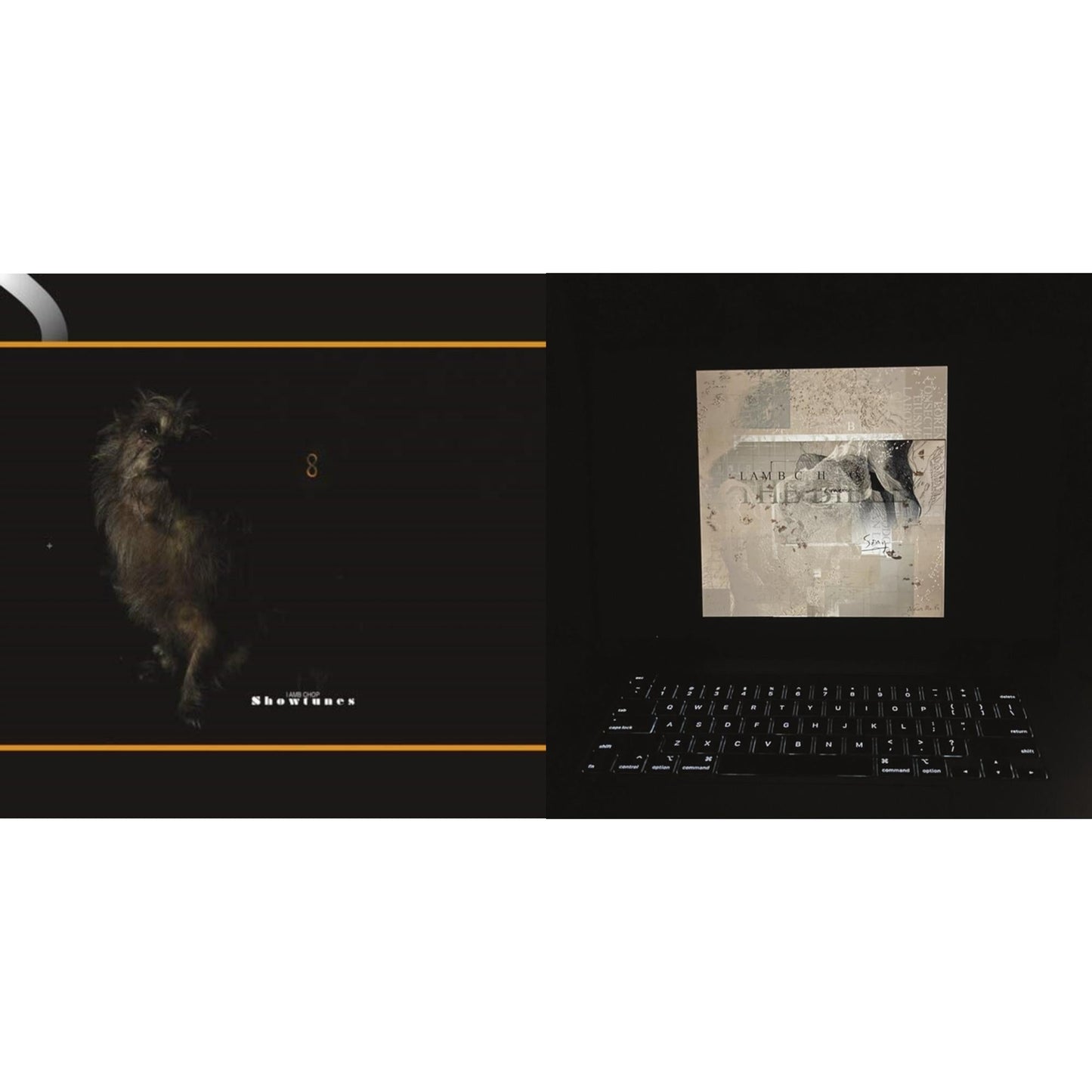 Lambchop - Showtunes & Bible (2LP/D-Side Etching)