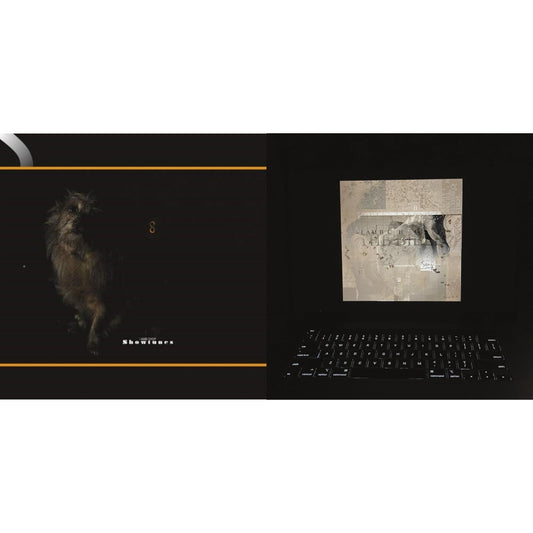 Lambchop - Showtunes & Bible (2LP/D-Side Etching)