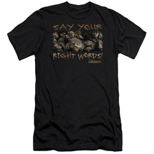 Load image into Gallery viewer, Labyrinth Say Your Right Words Premium Bella Canvas Slim Fit Mens T Shirt Black