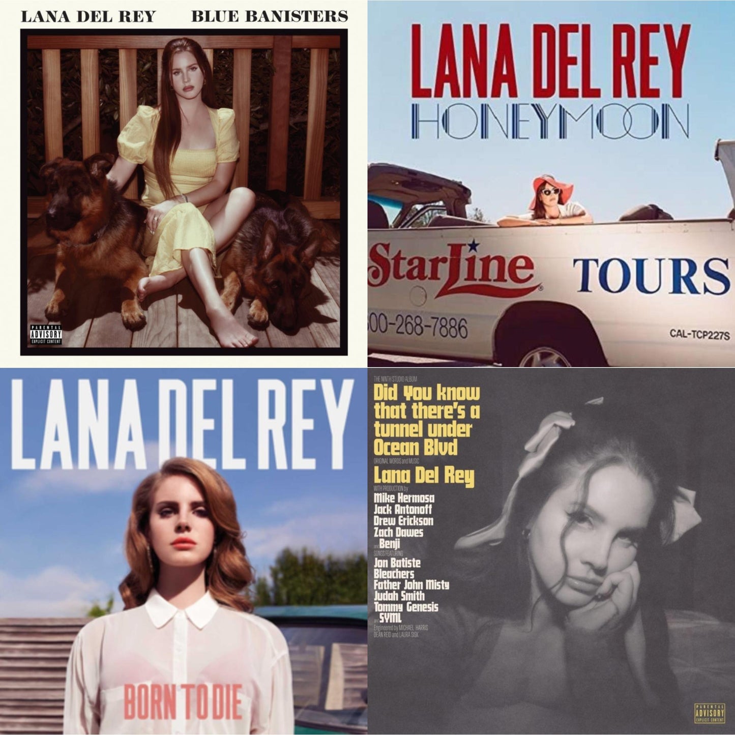 Lana Del Rey - Blue Banisters (2LP) & Did You Know That There’S A Tunnel Under Ocean Blvd (X) (2LP/180G) & Born To Die & Honeymoon