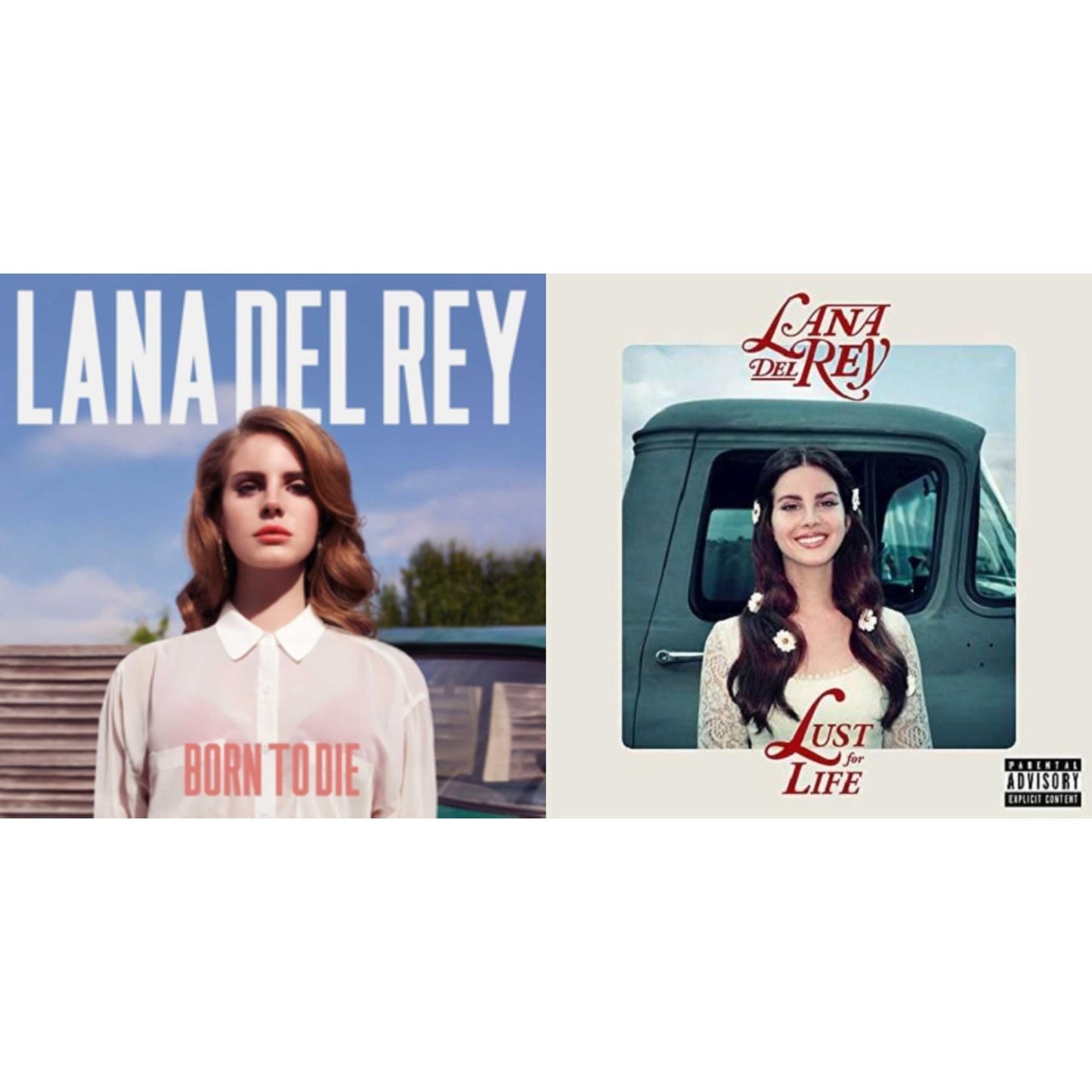 Lana Del Rey - Born To Die & Lust For Life - LP Vinyl Bundle