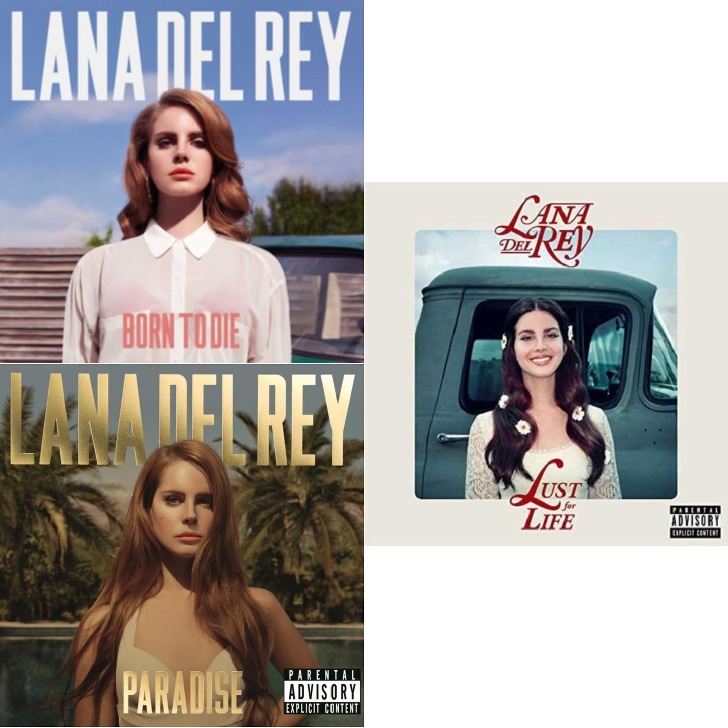 Lana Del Rey - Born To Die & Paradise & Lust For Life - LP Vinyl Bundle