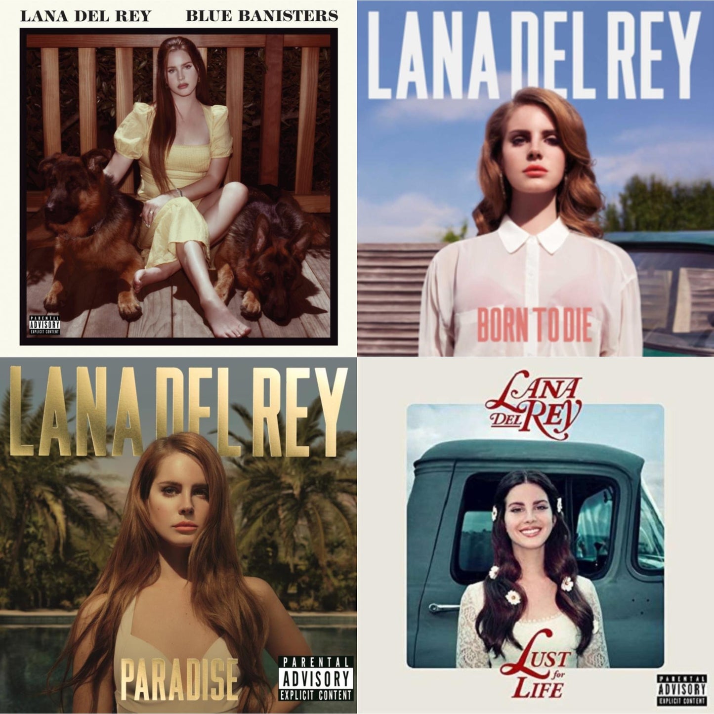 Lana Del Rey - Blue Banisters (2LP) & Born To Die & Paradise & Lust For Life