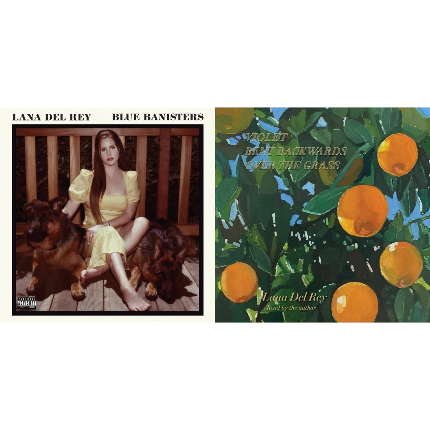 Lana Del Rey - Blue Banisters (2LP) & Violet Bent Backwards Over The Grass (180G)