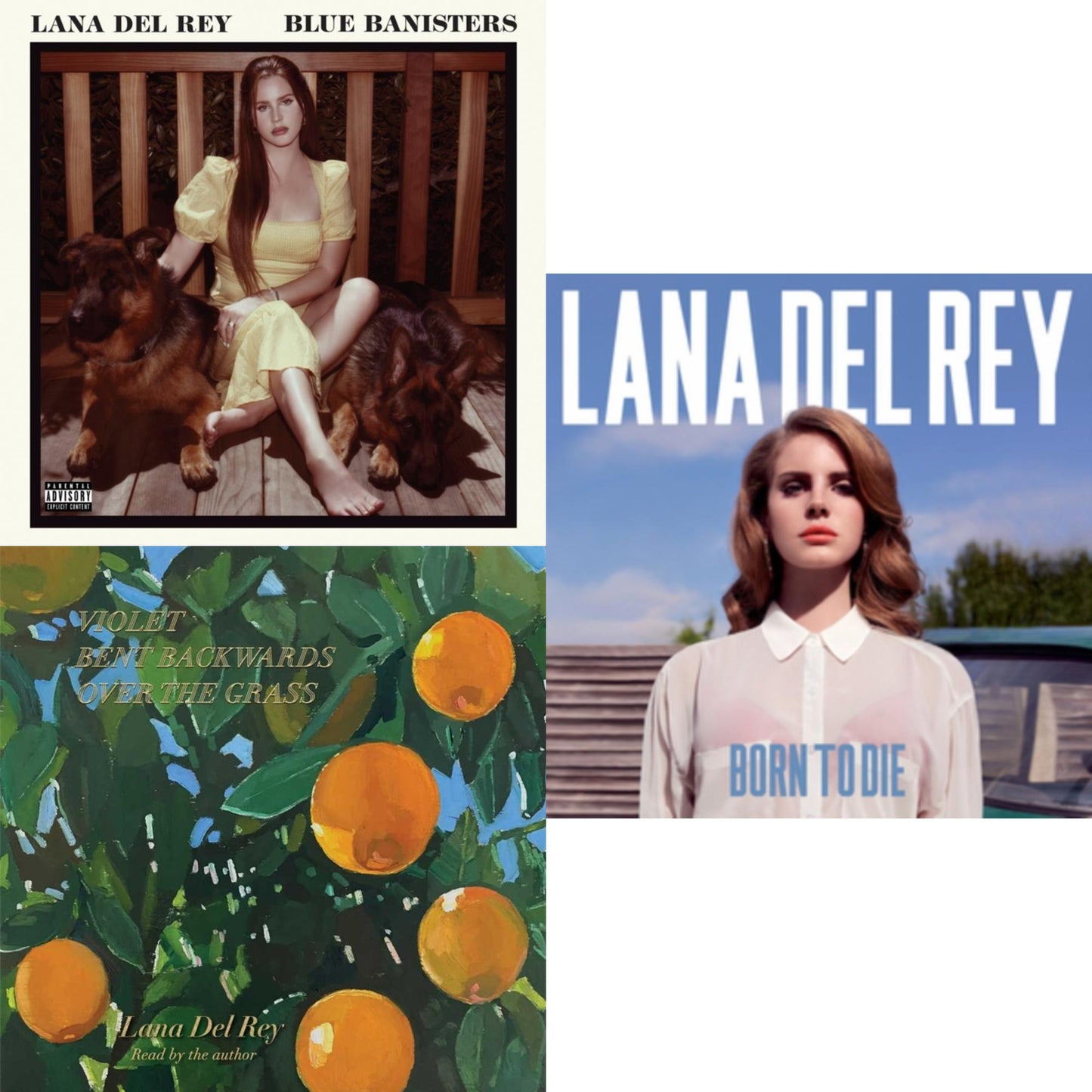 Lana Del Rey - Blue Banisters (2LP) & Violet Bent Backwards Over The Grass (180G) & Born To Die