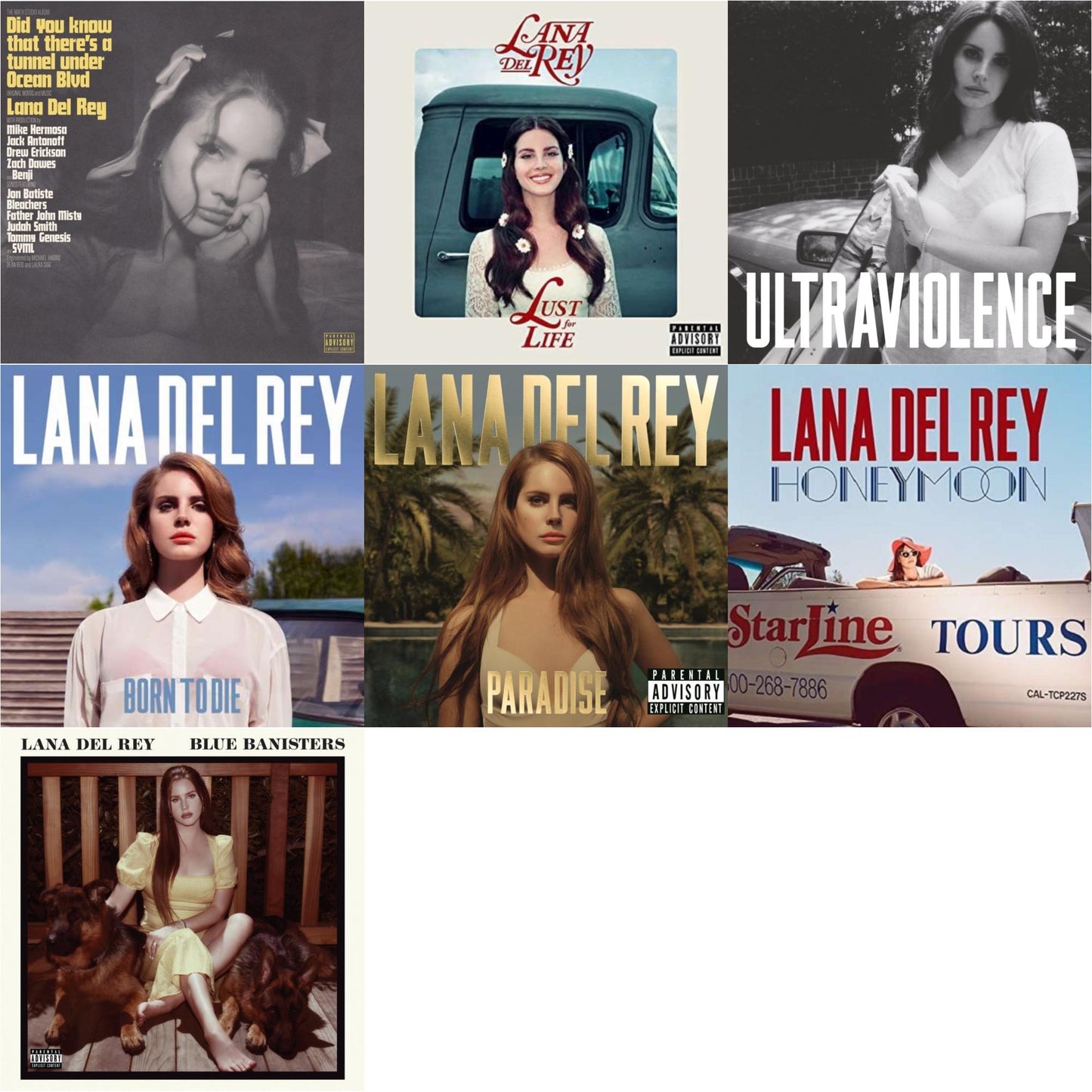 Lana Del Rey - Blue Banisters (2LP) & Did You Know That There’S A Tunnel Under Ocean Blvd (X) (2LP/180G) & Born To Die & Paradise & Ultraviolence & Honeymoon & Lust For Life