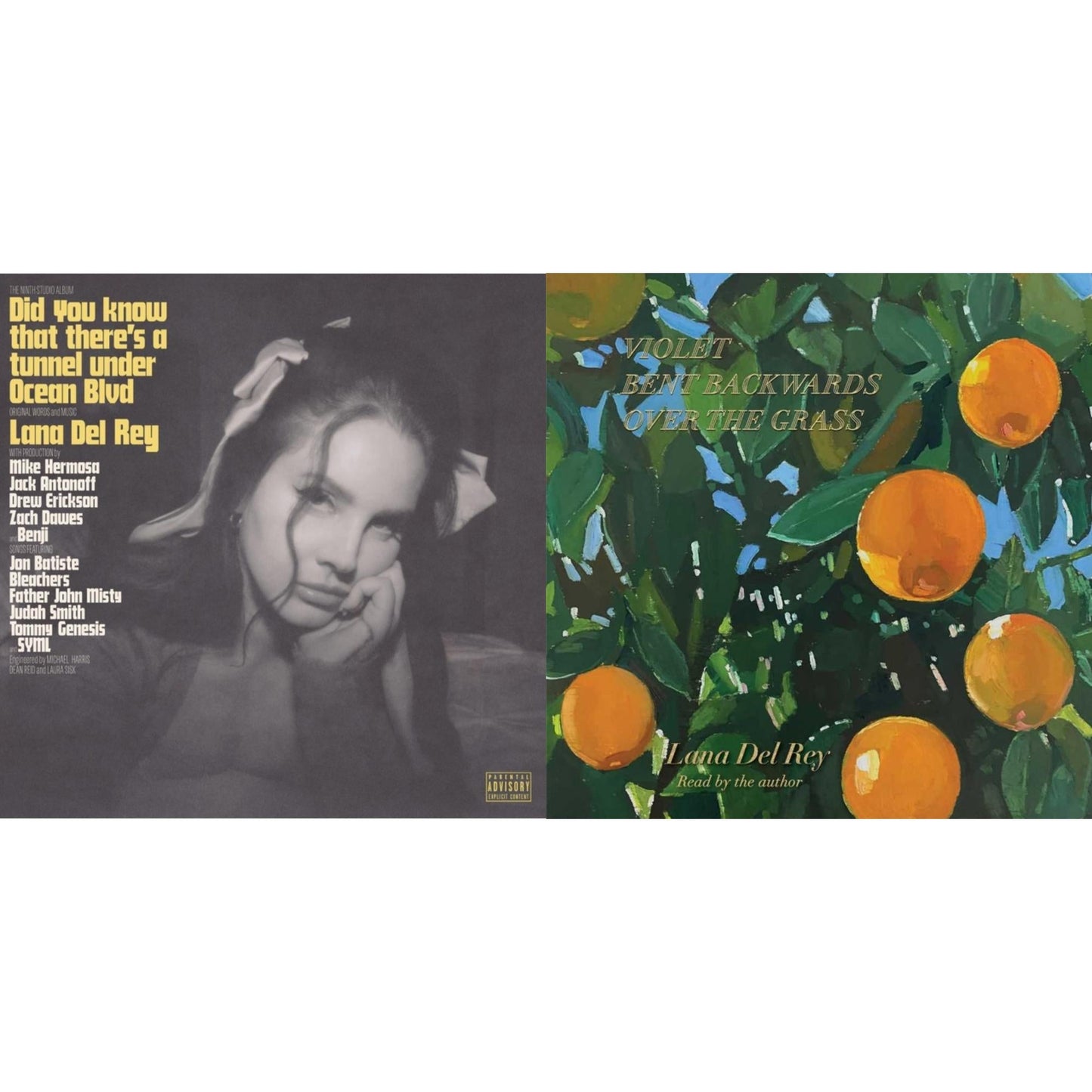 Lana Del Rey - Did You Know That There’S A Tunnel Under Ocean Blvd (X) (2LP/180G) & Violet Bent Backwards Over The Grass (180G)