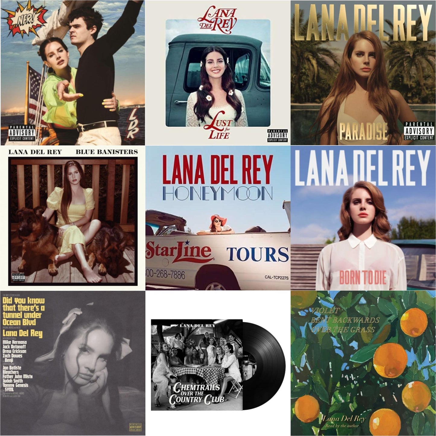 Lana Del Rey - Chemtrails Over The Country Club & Blue Banisters (2LP) & Did You Know That There’S A Tunnel Under Ocean Blvd (X) (2LP/180G) & Violet Bent Backwards Over The Grass (180G) & Nfr! (2LP) & Born To Die & Paradise & Honeymoon & Lust For
