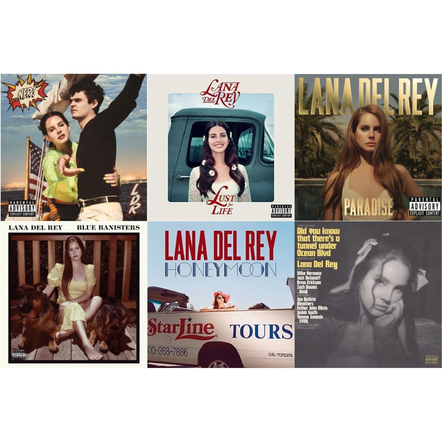 Lana Del Rey - Blue Banisters (2LP) & Did You Know That There’S A Tunnel Under Ocean Blvd (X) (2LP/180G) & Nfr! (2LP) & Paradise & Honeymoon & Lust For Life