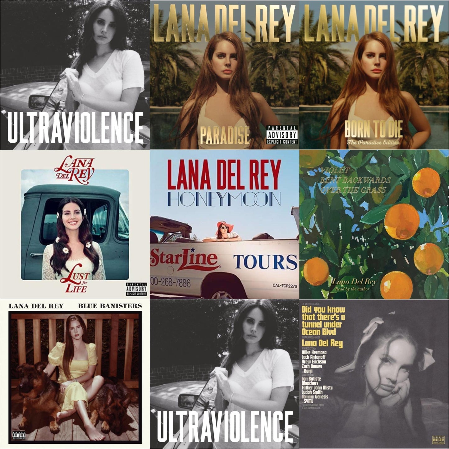 Lana Del Rey - Blue Banisters (2LP) & Did You Know That There’S A Tunnel Under Ocean Blvd (X) (2LP/180G) & Violet Bent Backwards Over The Grass (180G) & Born To Die (Paradise Edition) (Only The Bonus Material) & Paradise & Ultraviolence &