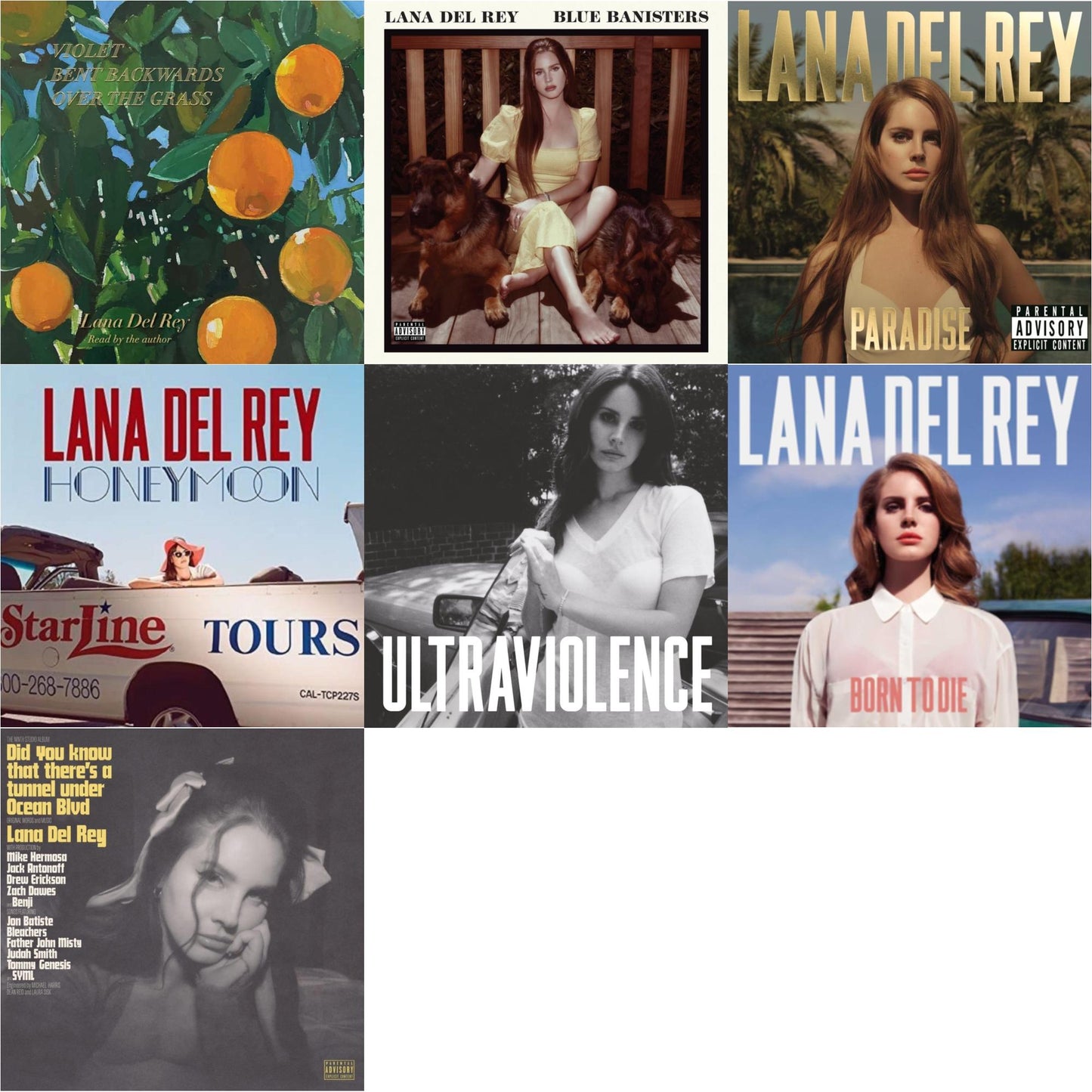 Lana Del Rey - Blue Banisters (2LP) & Did You Know That There’S A Tunnel Under Ocean Blvd (X) (2LP/180G) & Violet Bent Backwards Over The Grass (180G) & Born To Die & Paradise & Ultraviolence & Honeymoon