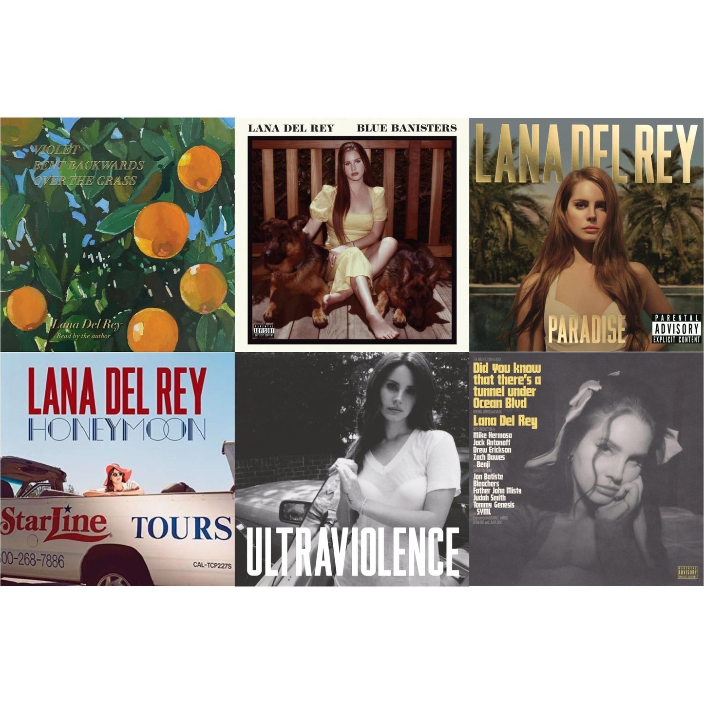 Lana Del Rey - Blue Banisters (2LP) & Did You Know That There’S A Tunnel Under Ocean Blvd (X) (2LP/180G) & Violet Bent Backwards Over The Grass (180G) & Paradise & Ultraviolence & Honeymoon