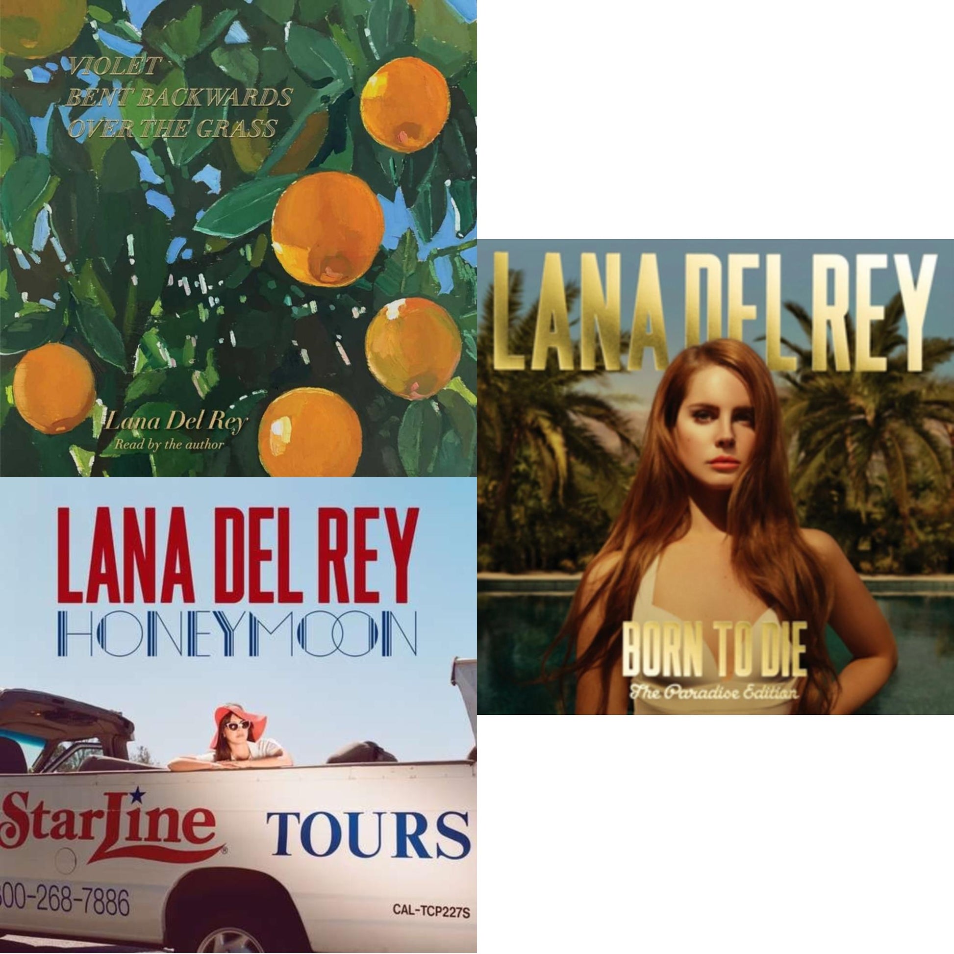 Lana Del Rey - Violet Bent Backwards Over The Grass & Born To Die (Paradise Edition) & Honeymoon - CD Bundle