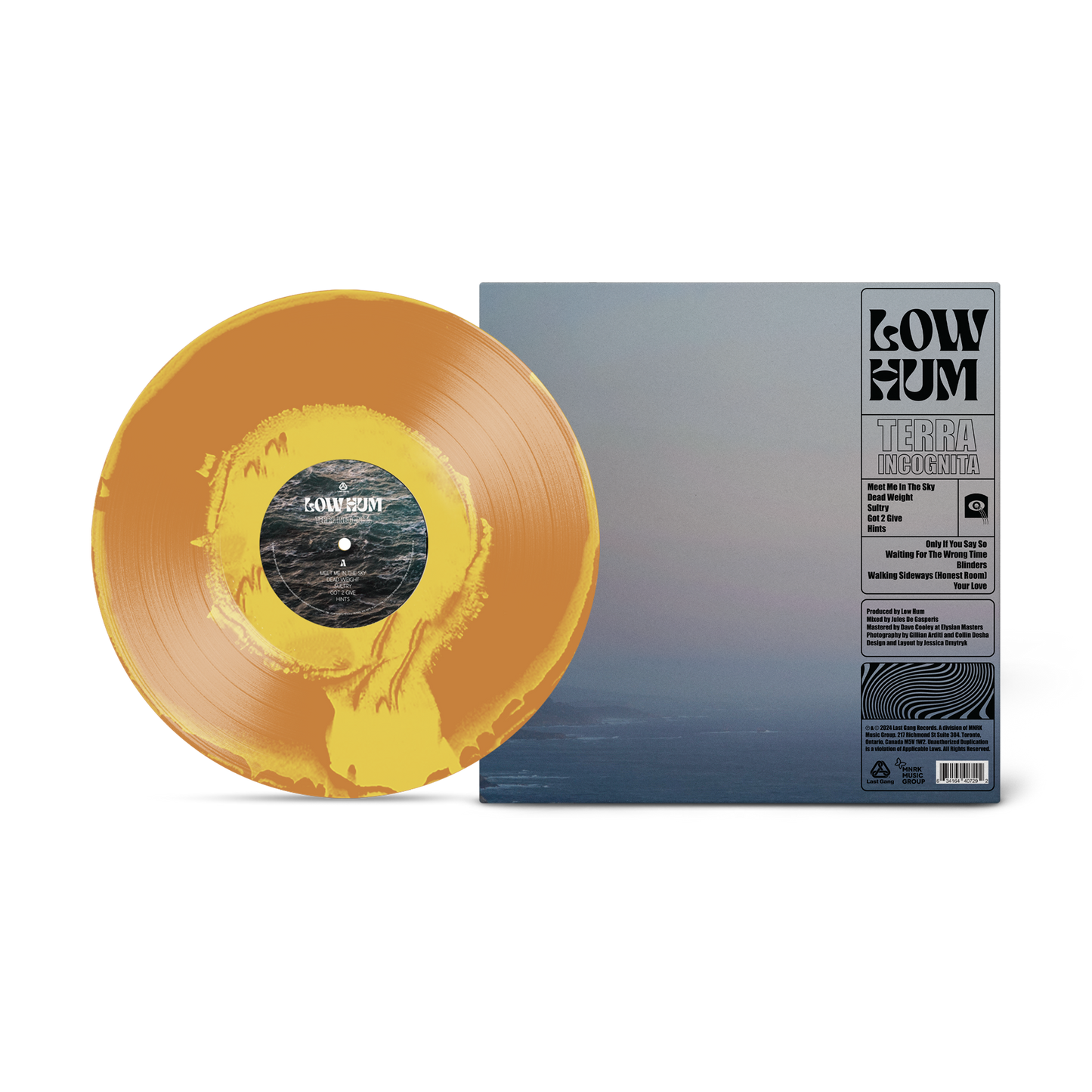 Low Hum - Terra Incognita Vinyl Record