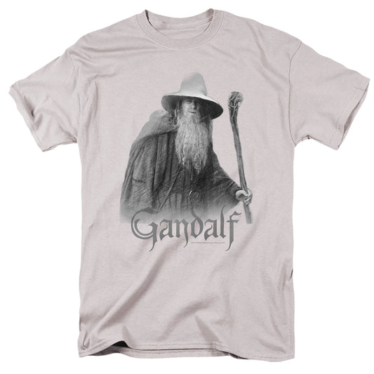 Lord Of The Rings Gandalf The Grey Mens T Shirt Silver