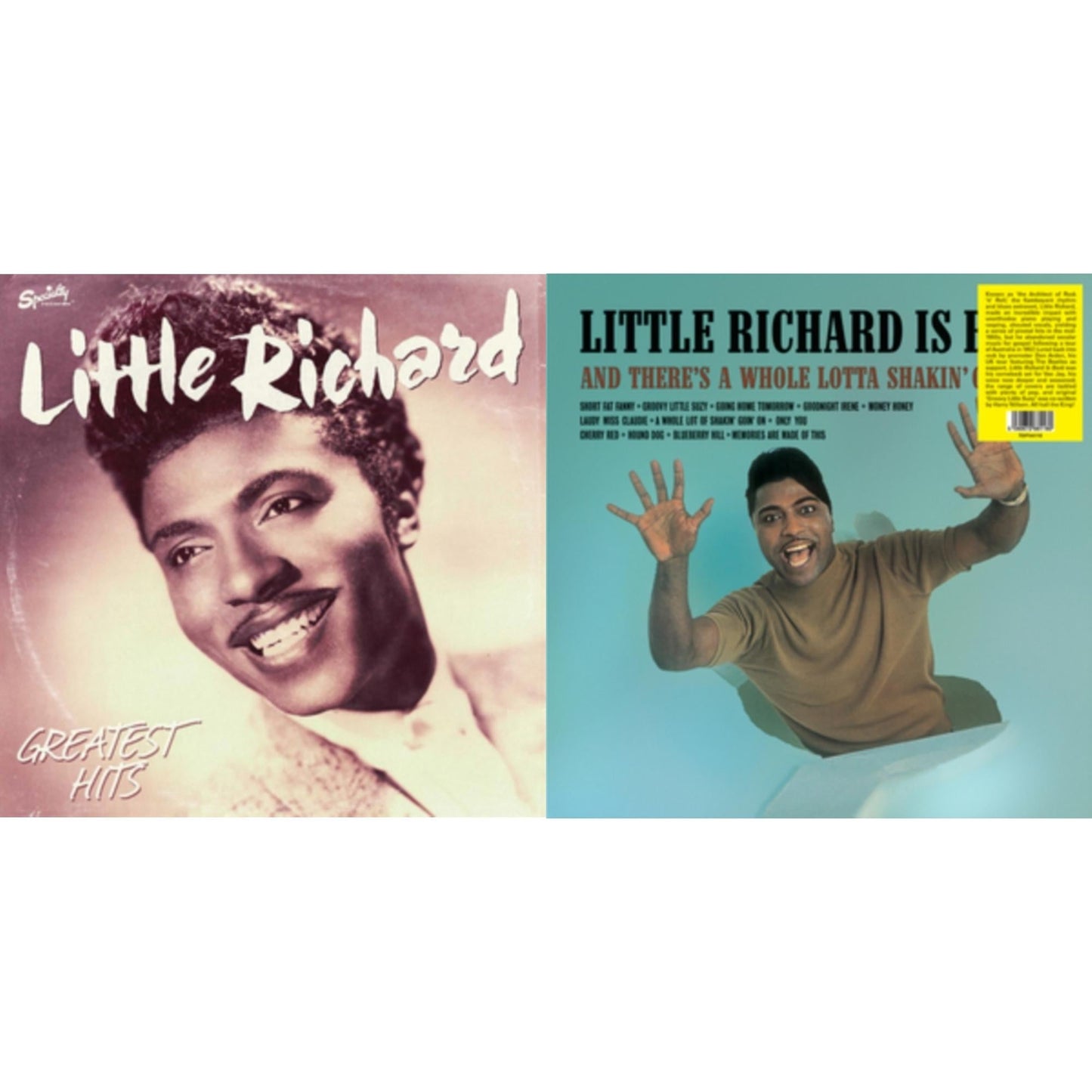 Little Richard - Little Richard Is Back & Greatest Hits - LP Vinyl Bundle