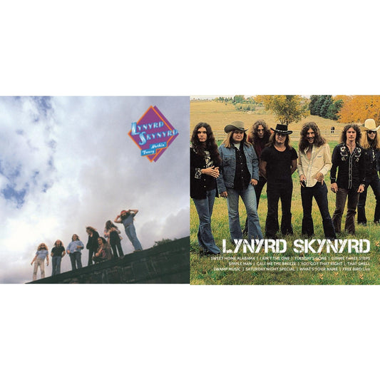Lynyrd Skynyrd - Nuthin Fancy & Icon - LP Vinyl Bundle