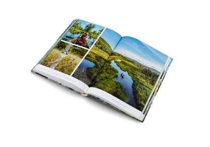 Leaving the Comfort Zone Book