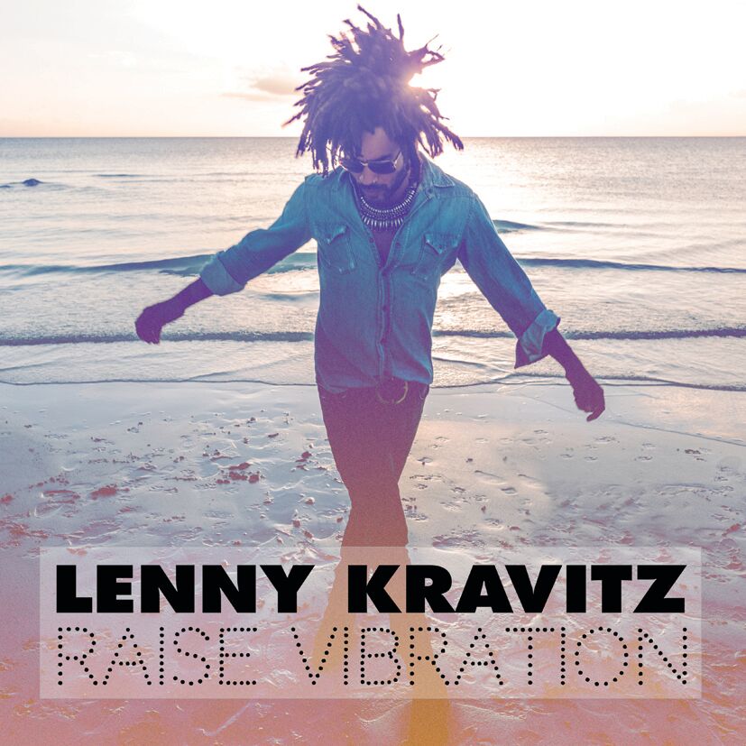 Raise Vibration [Vinyl] Vinyl Record