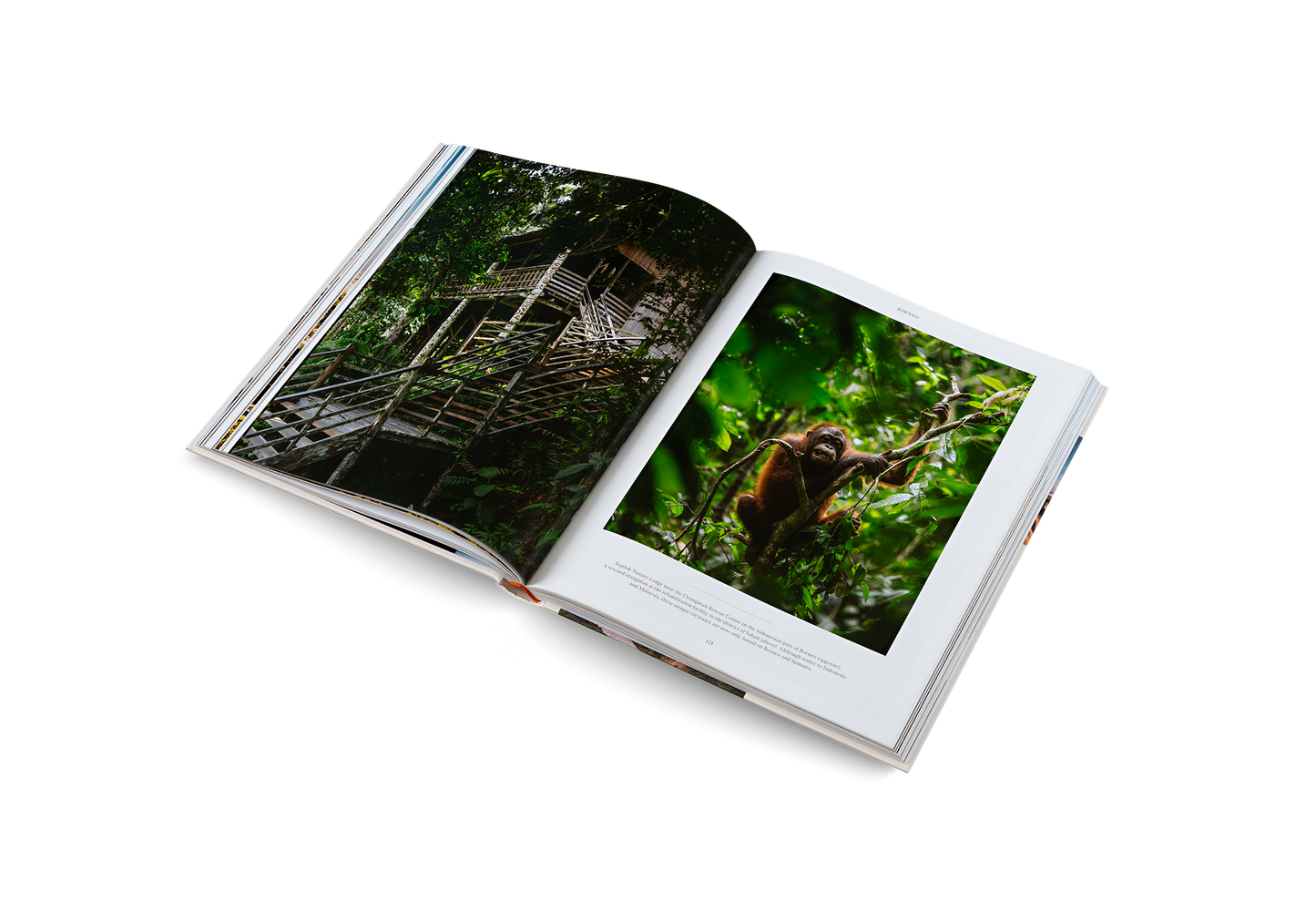 Life on the Road Book
