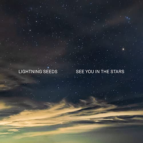 See You in the Stars [Vinyl] Vinyl Record