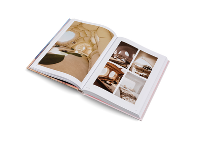 Living in a Dream Book