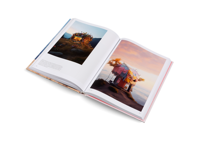 Living in a Dream Book