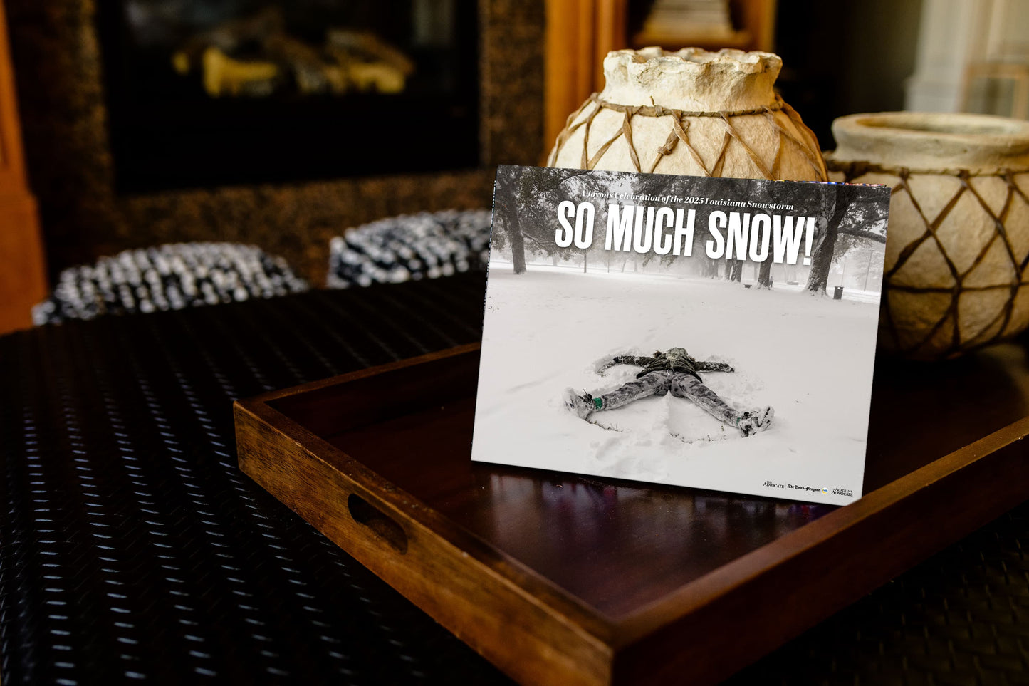 So Much Snow! A Joyous Celebration of the 2025 Louisiana Snowstorm Book