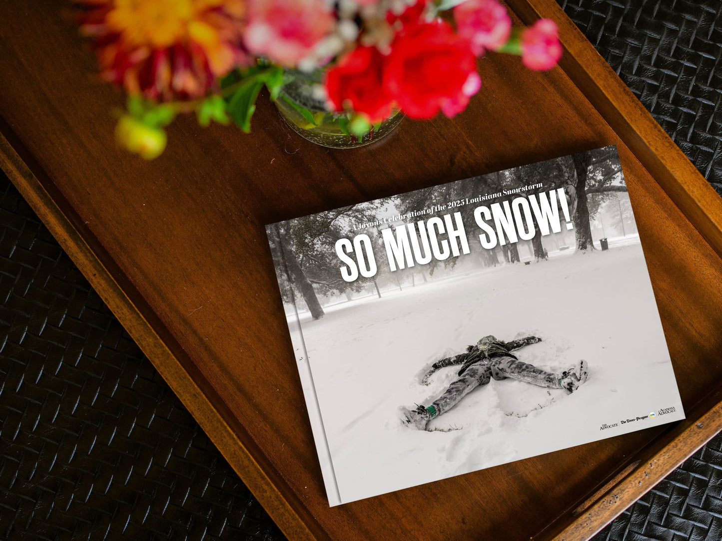 So Much Snow! A Joyous Celebration of the 2025 Louisiana Snowstorm Book
