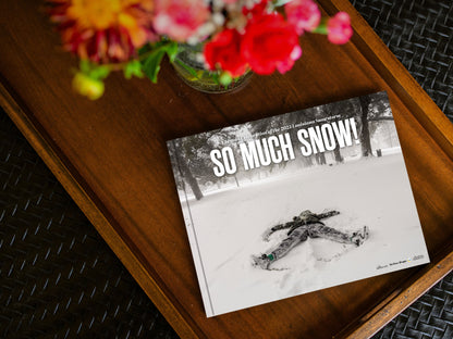 So Much Snow! A Joyous Celebration of the 2025 Louisiana Snowstorm Book