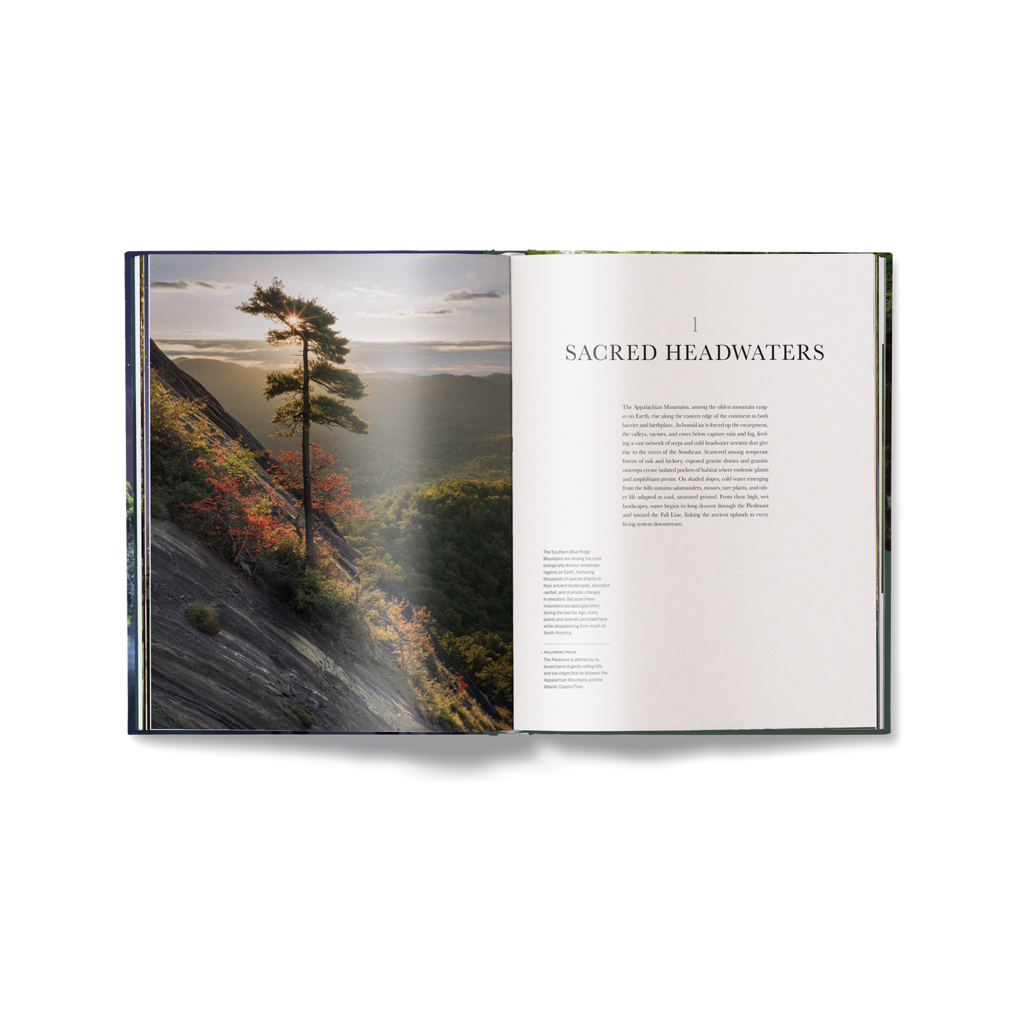 American Amazon Book