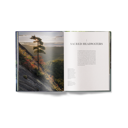 American Amazon Book