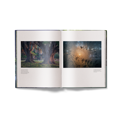 American Amazon Book