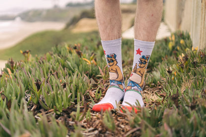 Cali Bear Adult Crew Socks