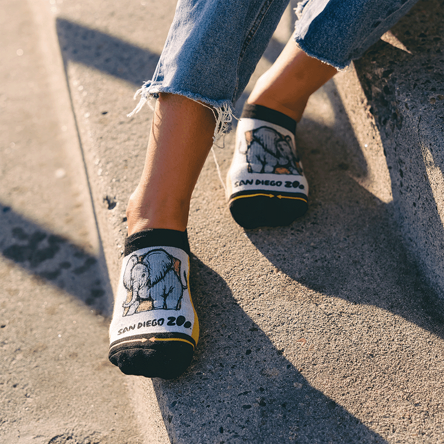 Baby Elephant Adult No Show Socks With Art By San Diego Zoo