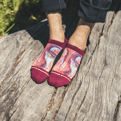 Taylor Reinhold Buddha Adult No Show Socks