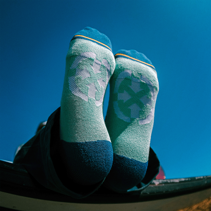 Cotton Candy Stripes Organic Cotton Adult No Show Socks
